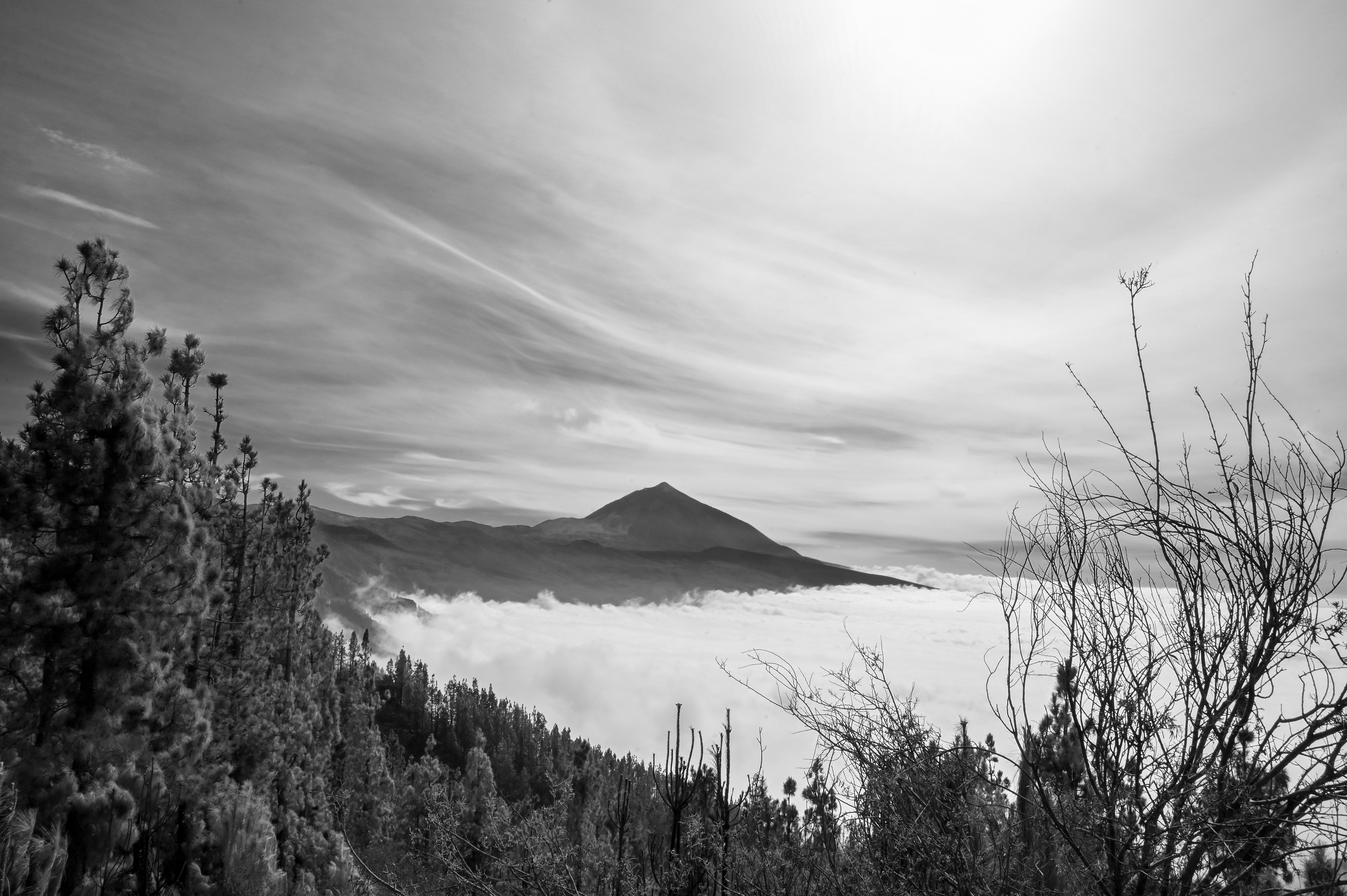 Horizontes en Blanco y Negro